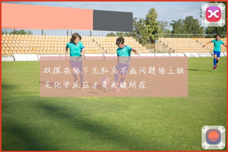 双探花场下无私交不成问题场上缺乏化学反应才是关键所在